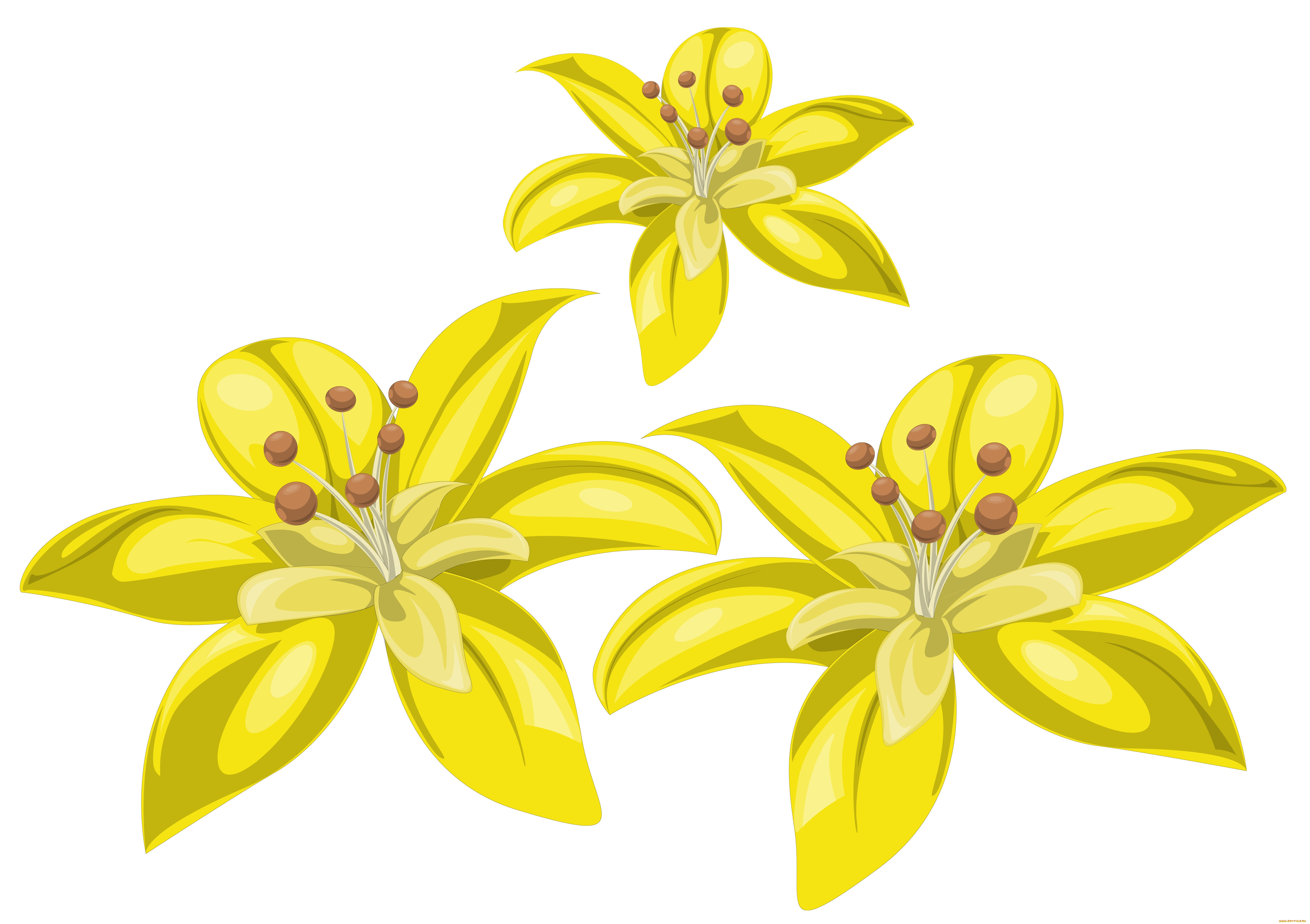  ,  , flowers, , , 